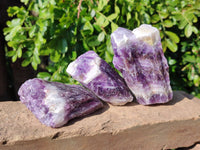 Natural Chevron Amethyst Specimens x 12 From Zambia - Toprock Gemstones and Minerals 
