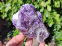 Natural Chevron Amethyst Specimens x 12 From Zambia - Toprock Gemstones and Minerals 