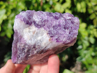 Natural Chevron Amethyst Specimens x 12 From Zambia - Toprock Gemstones and Minerals 