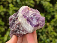 Natural Chevron Amethyst Specimens x 12 From Zambia - Toprock Gemstones and Minerals 