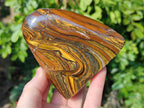 Polished Tigers Eye Standing Free Forms x 3 From South Africa - Toprock Gemstones and Minerals 