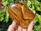 Polished Tigers Eye Standing Free Forms x 3 From South Africa - Toprock Gemstones and Minerals 