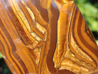 Polished Tigers Eye Standing Free Forms x 3 From South Africa
