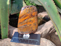 Polished Tigers Eye Standing Free Forms x 3 From South Africa