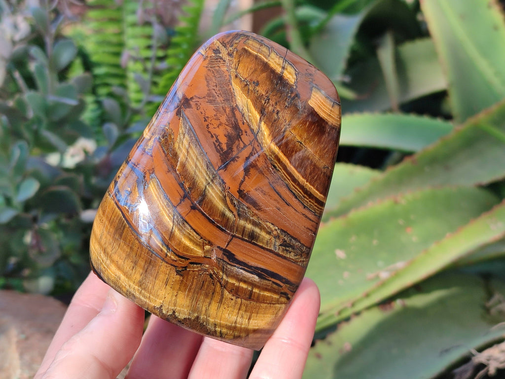 Polished Tigers Eye Standing Free Forms x 3 From South Africa - Toprock Gemstones and Minerals 