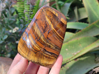 Polished Tigers Eye Standing Free Forms x 3 From South Africa