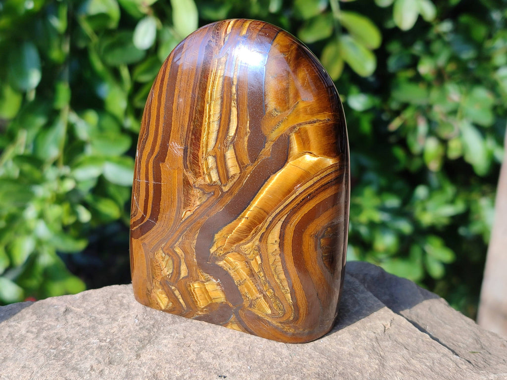 Polished Tigers Eye Standing Free Forms x 3 From South Africa - Toprock Gemstones and Minerals 