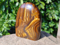 Polished Tigers Eye Standing Free Forms x 3 From South Africa