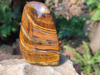 Polished Tigers Eye Standing Free Forms x 3 From South Africa