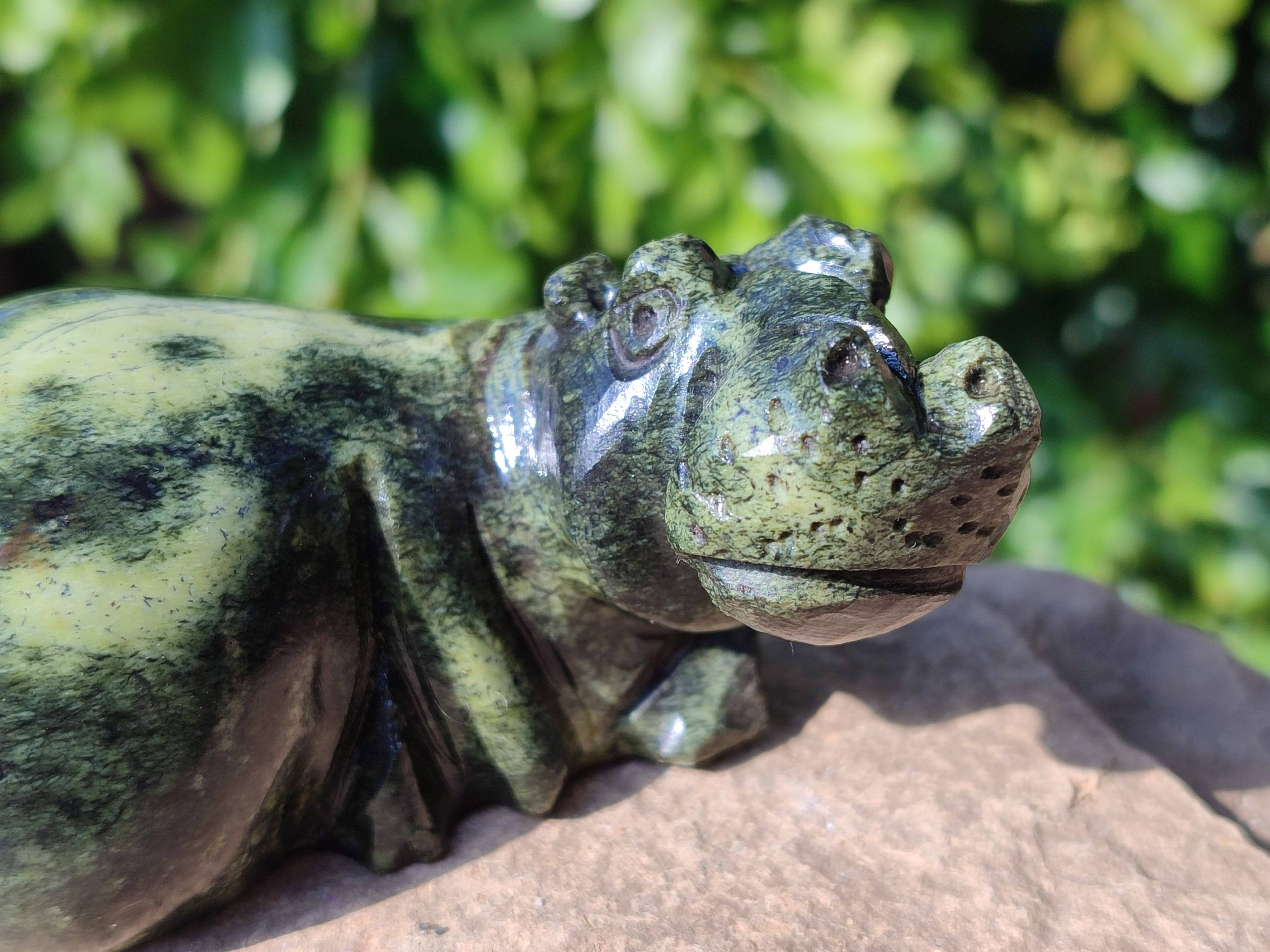 Hand Made Stone Hippo Carvings x 4 From Zimbabwe - Toprock Gemstones and Minerals 