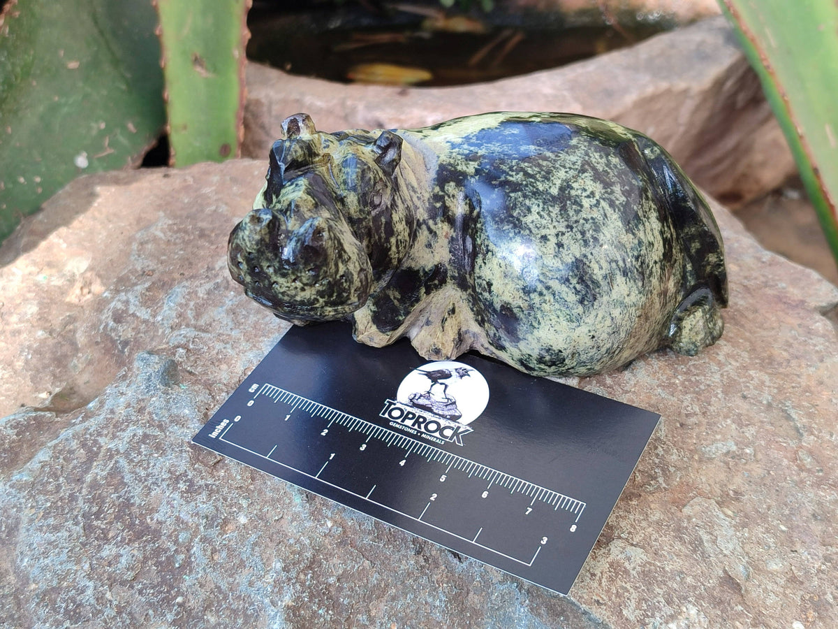 Hand Made Stone Hippo Carvings x 4 From Zimbabwe - Toprock Gemstones and Minerals 