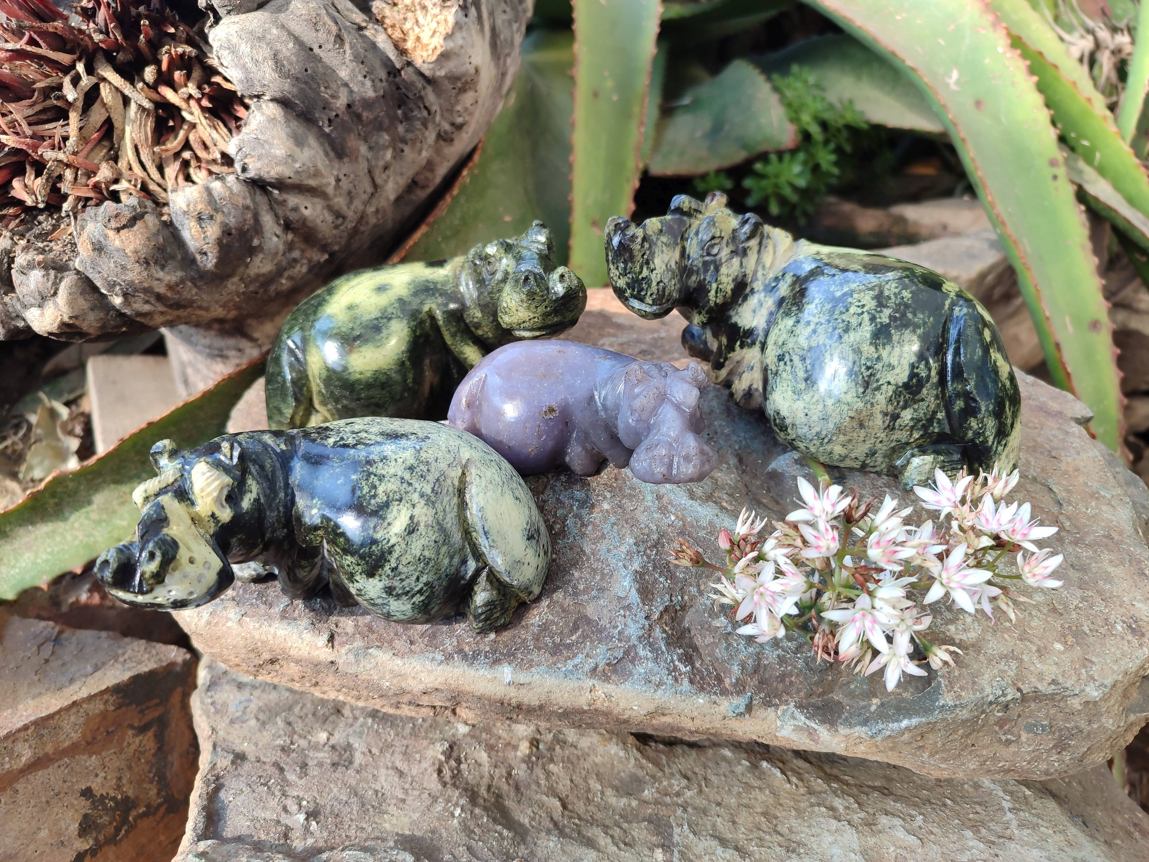 Hand Made Stone Hippo Carvings x 4 From Zimbabwe - Toprock Gemstones and Minerals 