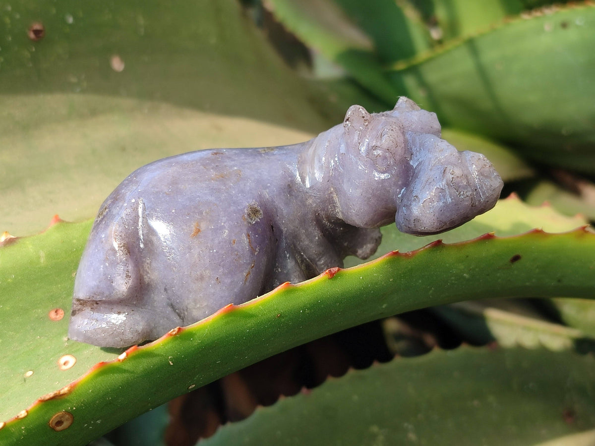 Hand Made Stone Hippo Carvings x 4 From Zimbabwe - Toprock Gemstones and Minerals 