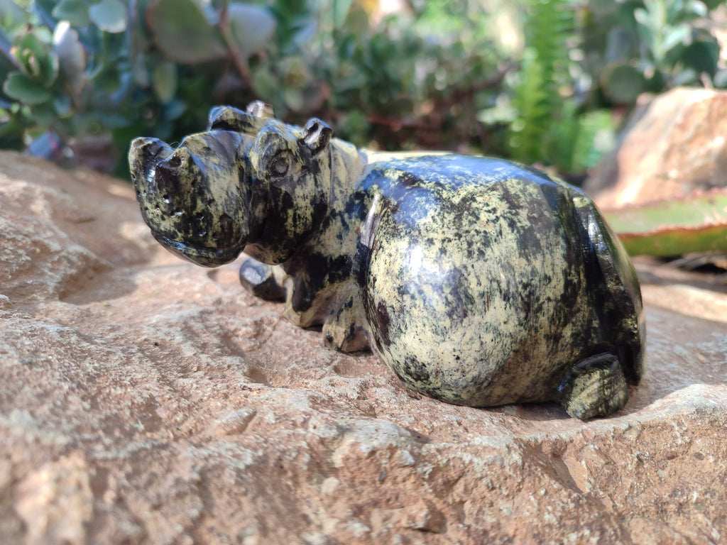 Hand Made Stone Hippo Carvings x 4 From Zimbabwe - Toprock Gemstones and Minerals 
