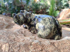 Hand Made Stone Hippo Carvings x 4 From Zimbabwe - Toprock Gemstones and Minerals 