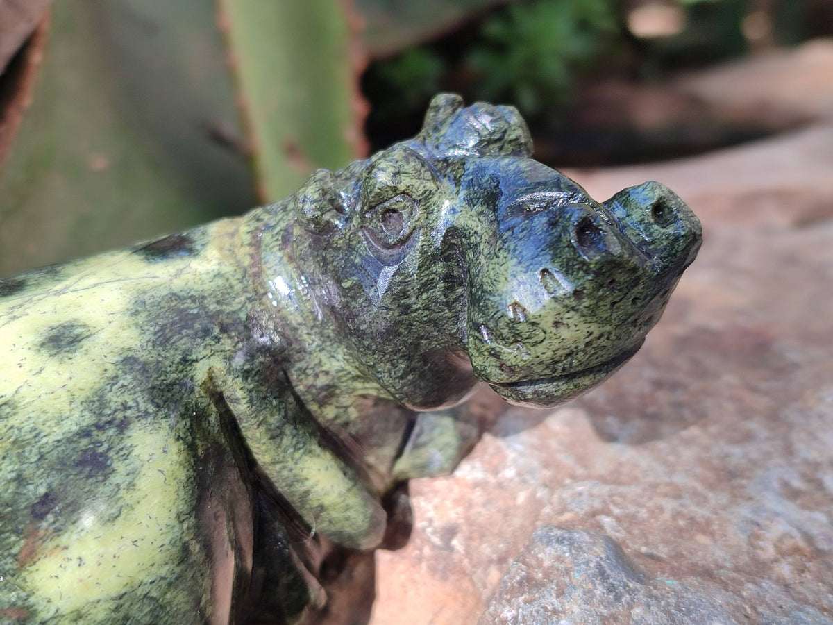 Hand Made Stone Hippo Carvings x 4 From Zimbabwe - Toprock Gemstones and Minerals 