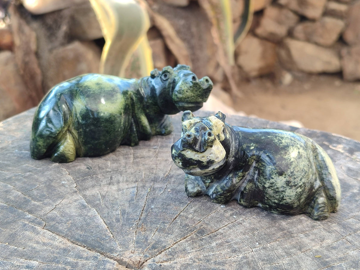 Hand Made Stone Hippo Carvings x 4 From Zimbabwe - Toprock Gemstones and Minerals 