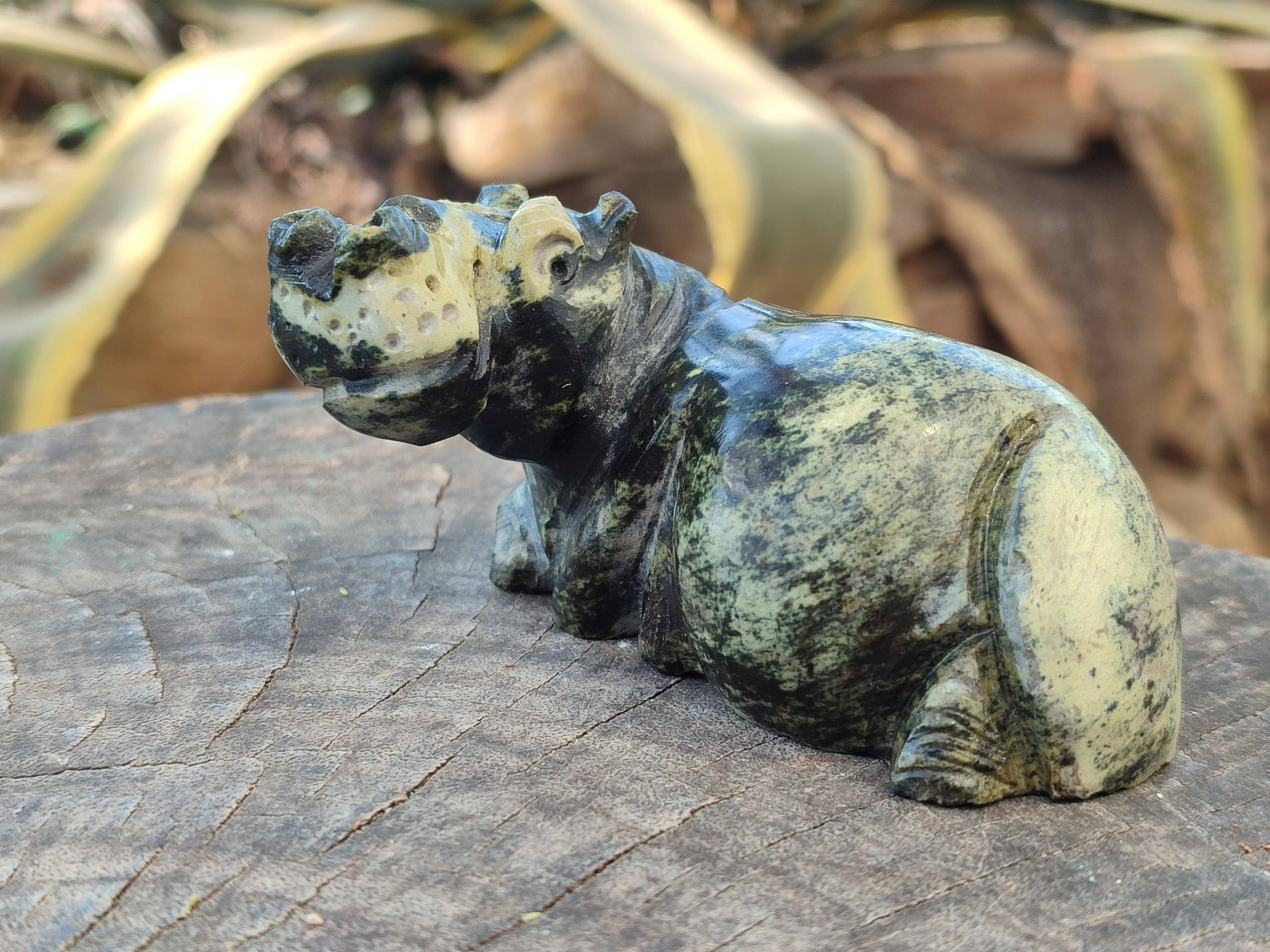 Hand Made Stone Hippo Carvings x 4 From Zimbabwe - Toprock Gemstones and Minerals 