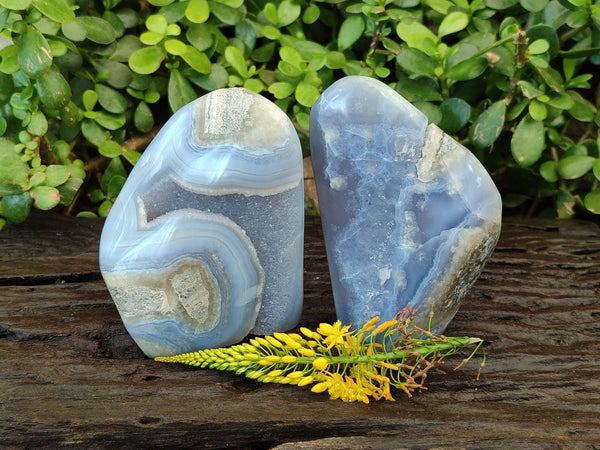 Polished Blue Lace Agate Standing Free Forms x 2 From Malawi