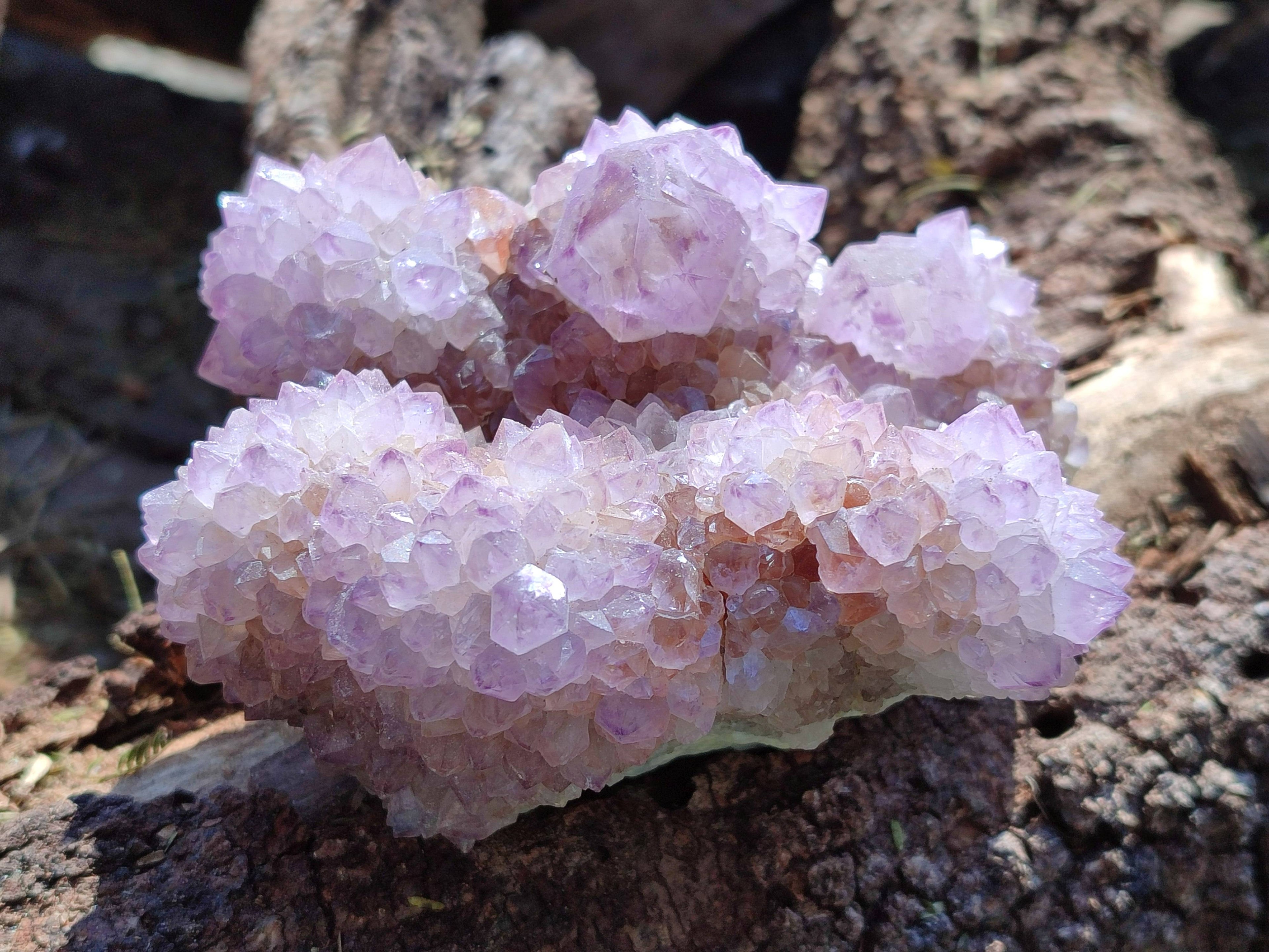 Natural Amethyst Spirit Quartz Clusters x 3 From South Africa - Toprock Gemstones and Minerals 