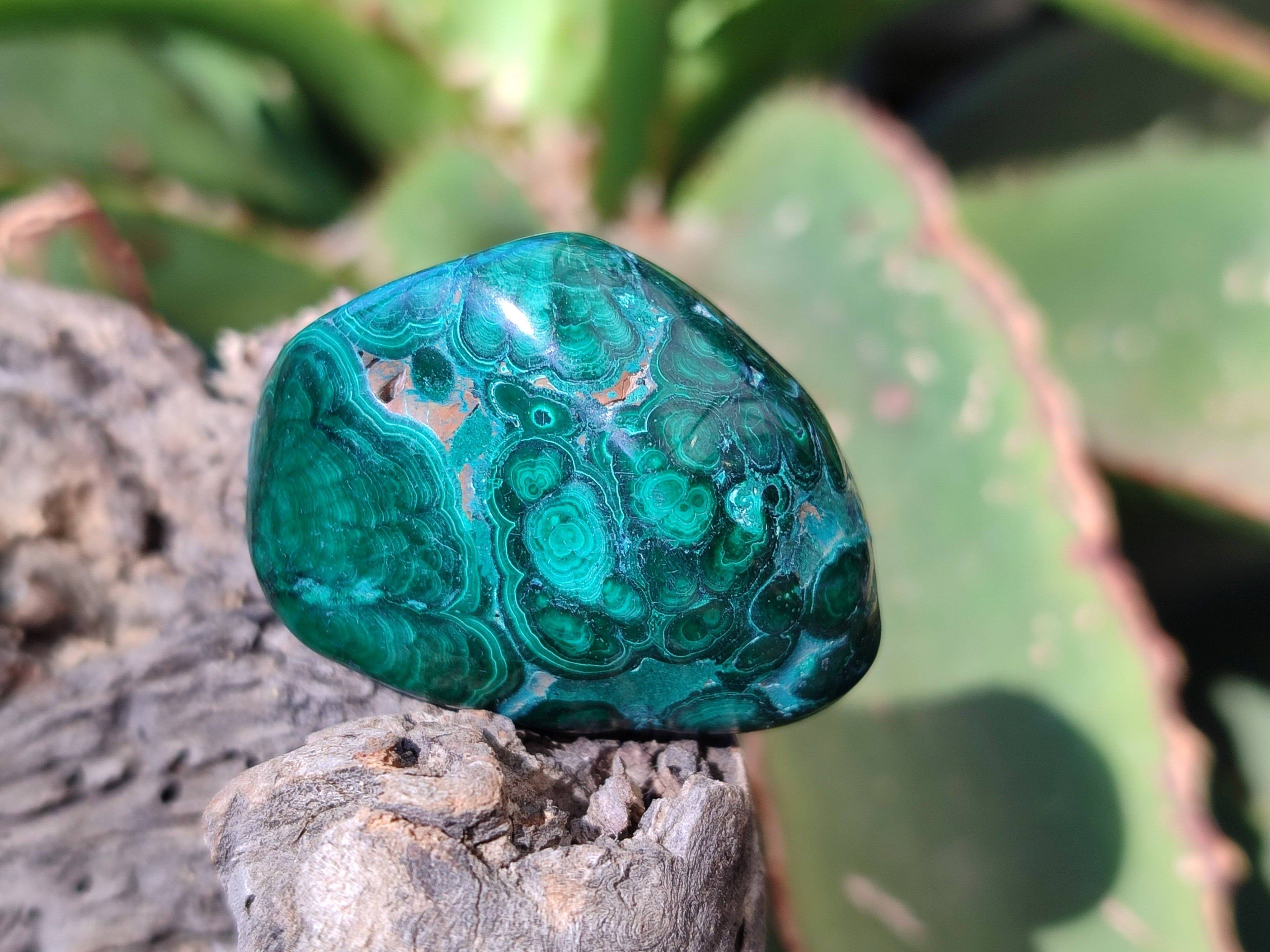 Polished Flower Banded Malachite Free Forms x 35 From Congo - Toprock Gemstones and Minerals 