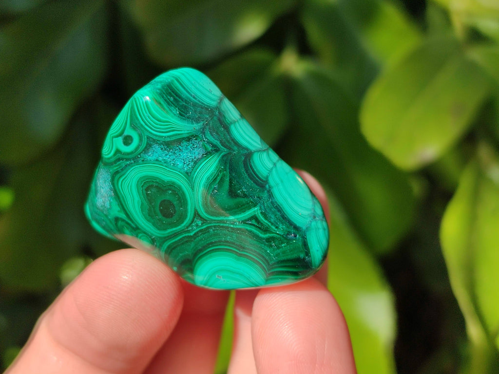 Polished Flower Banded Malachite Free Forms x 35 From Congo - Toprock Gemstones and Minerals 