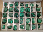 Polished Flower Banded Malachite Free Forms x 35 From Congo - Toprock Gemstones and Minerals 