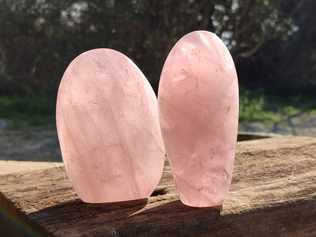 Polished Star Rose Quartz Standing Free Forms x 2 From Madagascar - Toprock Gemstones and Minerals 
