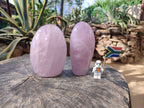 Polished Star Rose Quartz Standing Free Forms x 2 From Madagascar - Toprock Gemstones and Minerals 