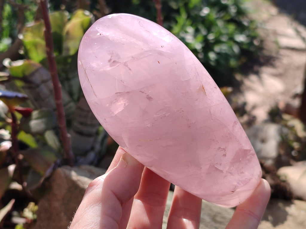 Polished Star Rose Quartz Standing Free Forms x 2 From Madagascar - Toprock Gemstones and Minerals 