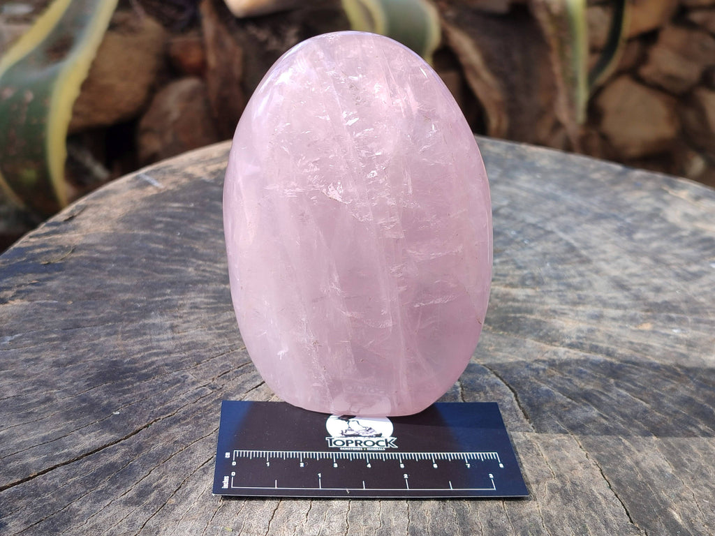 Polished Star Rose Quartz Standing Free Forms x 2 From Madagascar - Toprock Gemstones and Minerals 