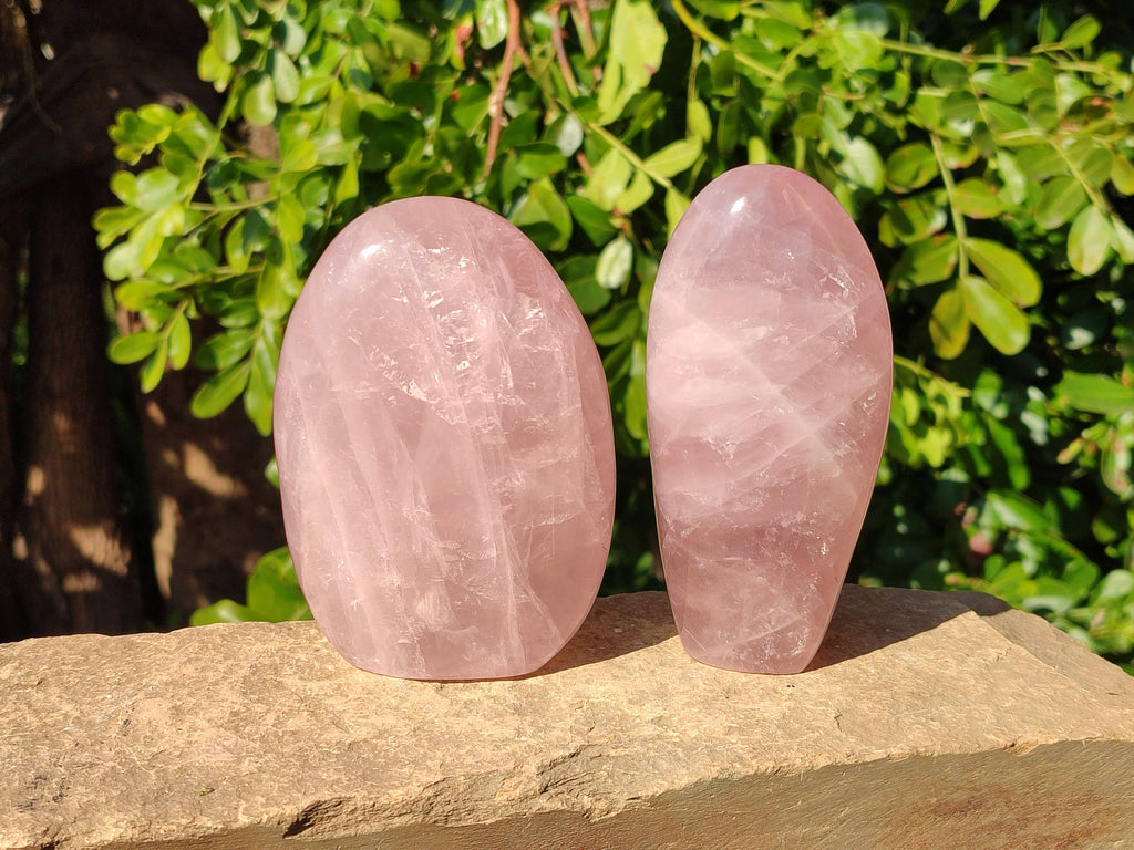 Polished Star Rose Quartz Standing Free Forms x 2 From Madagascar - Toprock Gemstones and Minerals 