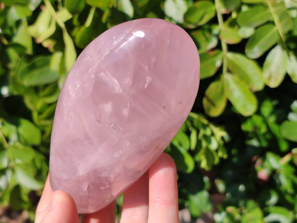 Polished Star Rose Quartz Standing Free Forms x 2 From Madagascar