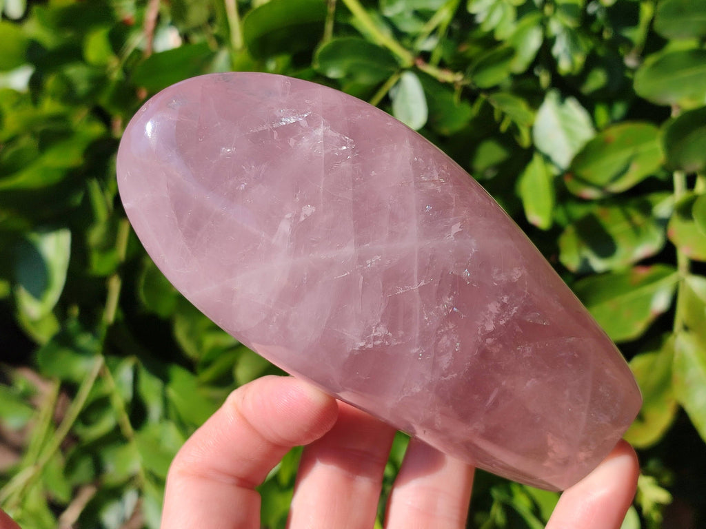 Polished Star Rose Quartz Standing Free Forms x 2 From Madagascar - Toprock Gemstones and Minerals 