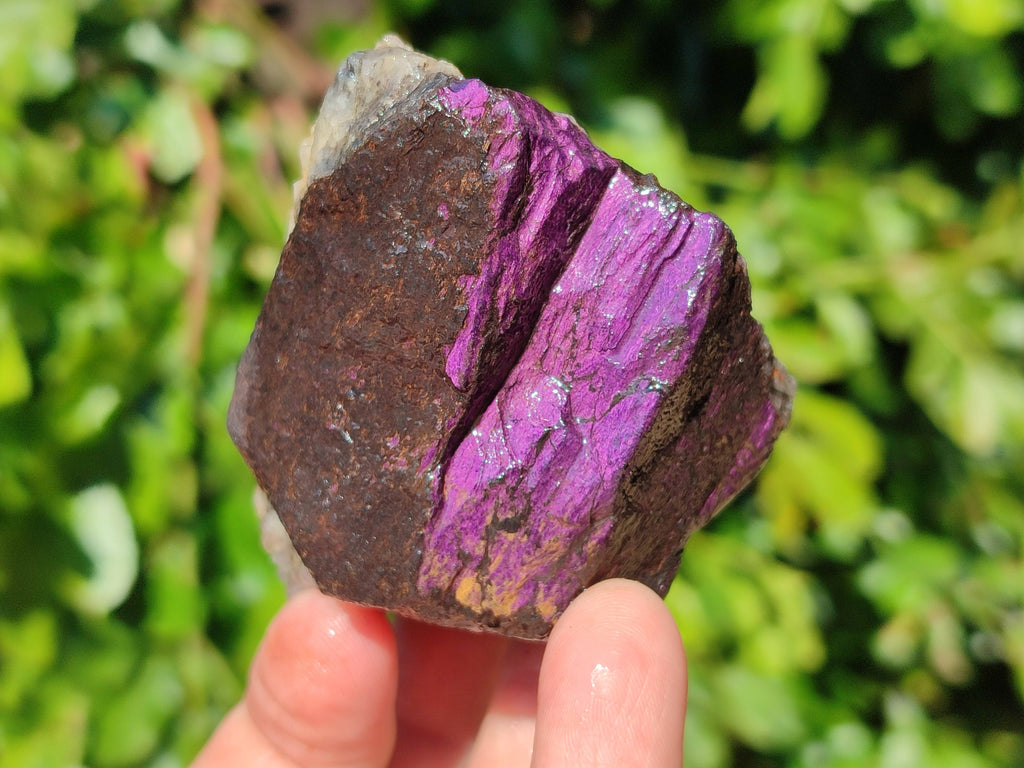 Natural Metallic Purpurite Specimens x 6 From Erongo, Namibia - Toprock Gemstones and Minerals 