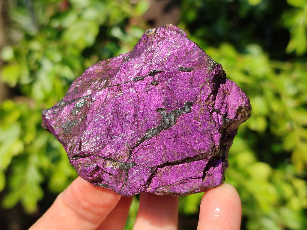 Natural Metallic Purpurite Specimens x 6 From Erongo, Namibia - Toprock Gemstones and Minerals 