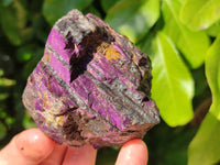 Natural Metallic Purpurite Specimens x 6 From Erongo, Namibia