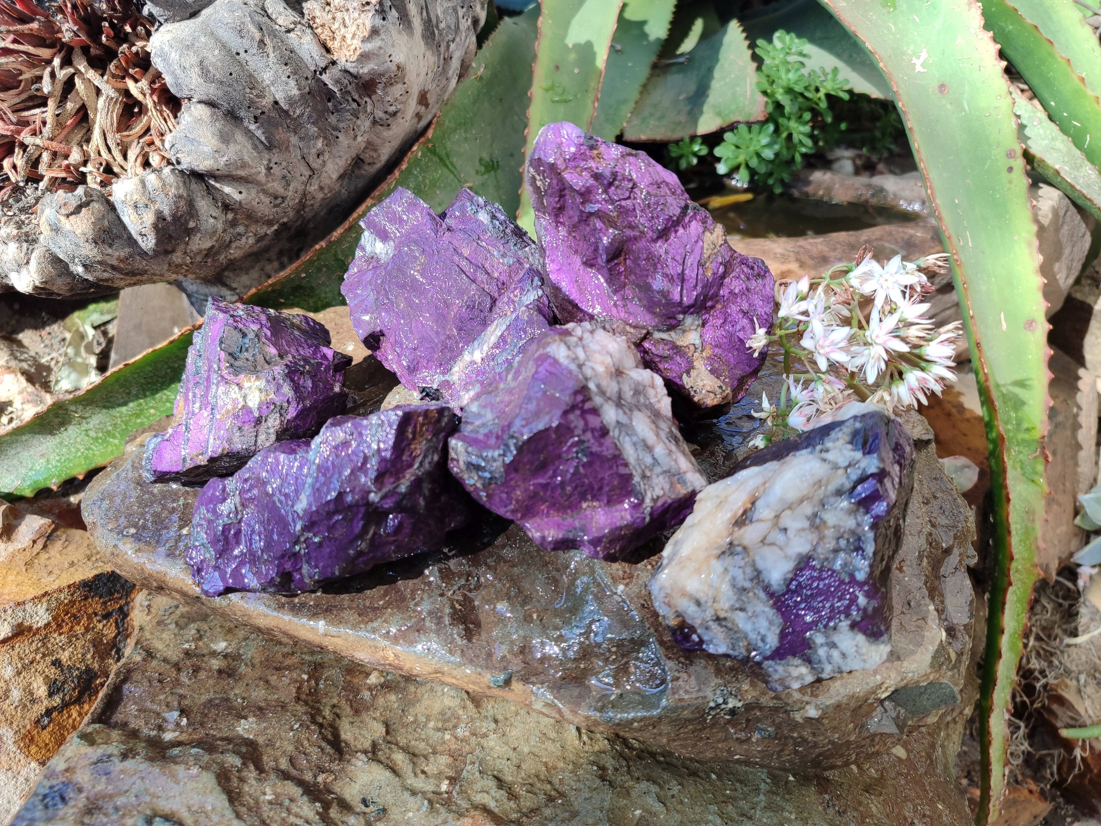 Natural Metallic Purpurite Specimens x 6 From Erongo, Namibia - Toprock Gemstones and Minerals 