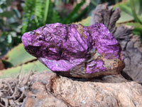Natural Metallic Purpurite Specimens x 6 From Erongo, Namibia