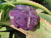 Natural Metallic Purpurite Specimens x 6 From Erongo, Namibia