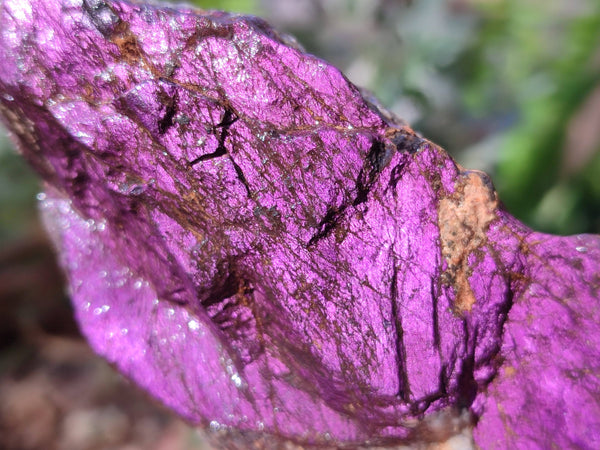 Natural Metallic Purpurite Specimens x 6 From Erongo, Namibia