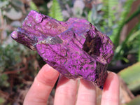 Natural Metallic Purpurite Specimens x 6 From Erongo, Namibia