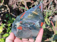 Polished Bloodstone Points x 3 From Swaziland