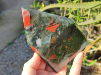 Polished Bloodstone Points x 3 From Swaziland