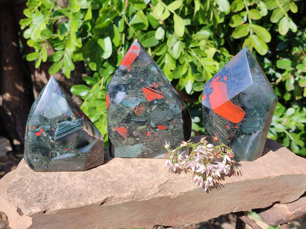 Polished Bloodstone Points x 3 From Swaziland