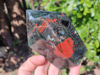 Polished Bloodstone Points x 3 From Swaziland