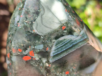Polished Bloodstone Points x 3 From Swaziland