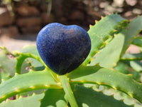 Polished Mini Lazulite Hearts x 35 From Madagascar