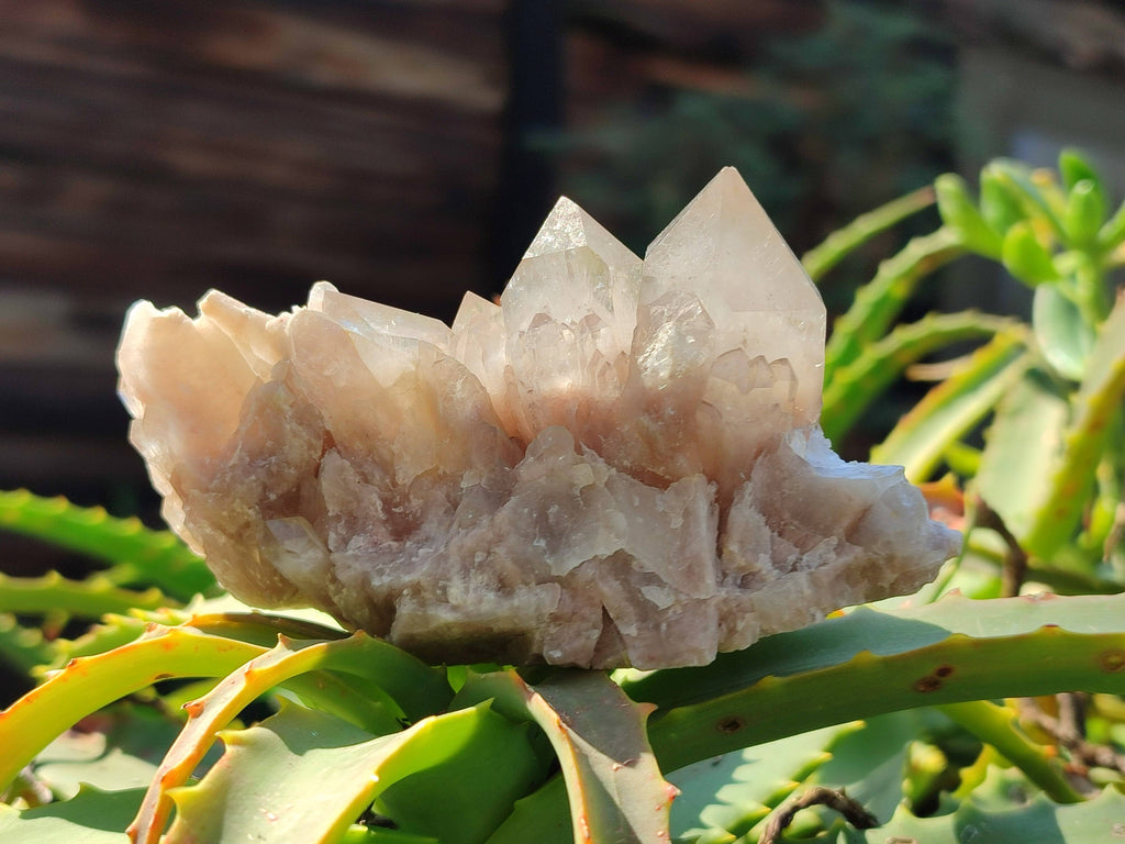 Natural Phantom Smokey Quartz Clusters x 6 From Luena, Congo - Toprock Gemstones and Minerals 