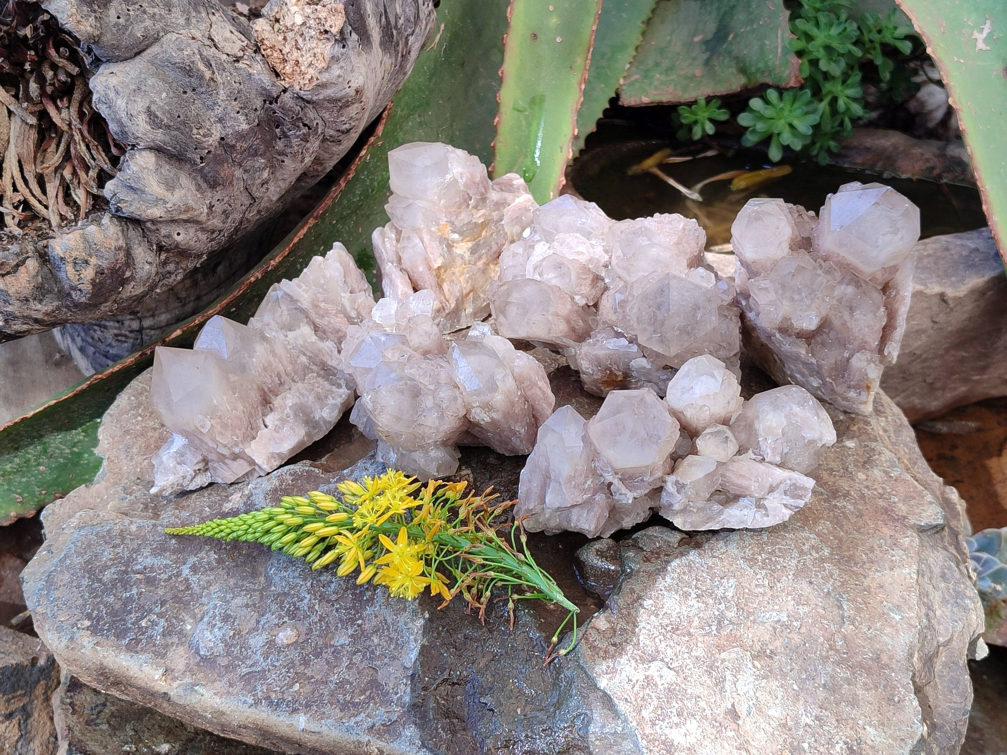 Natural Phantom Smokey Quartz Clusters x 6 From Luena, Congo - Toprock Gemstones and Minerals 